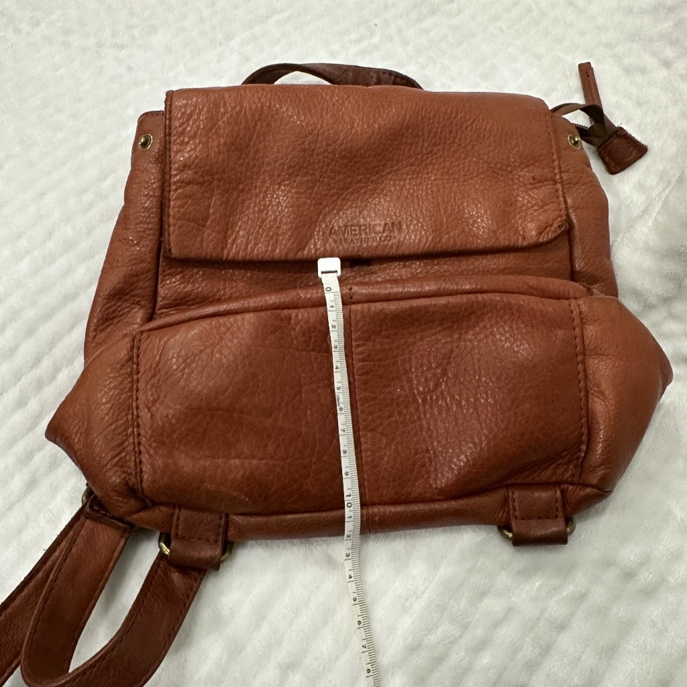 American Leather Co. backpack/shoulder bag